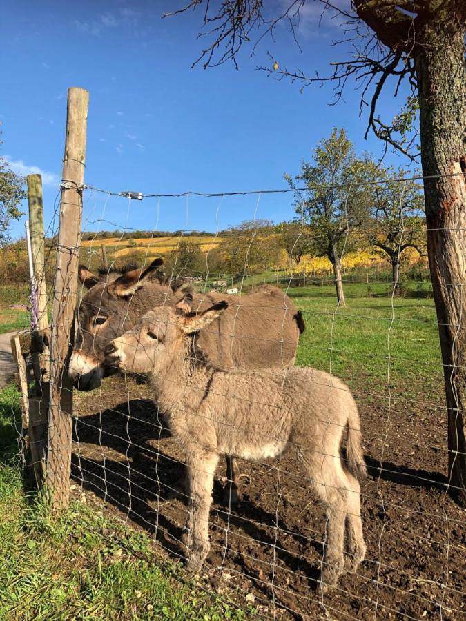 ウェスタルタンChez Le Vigneronアパートメント エクステリア 写真