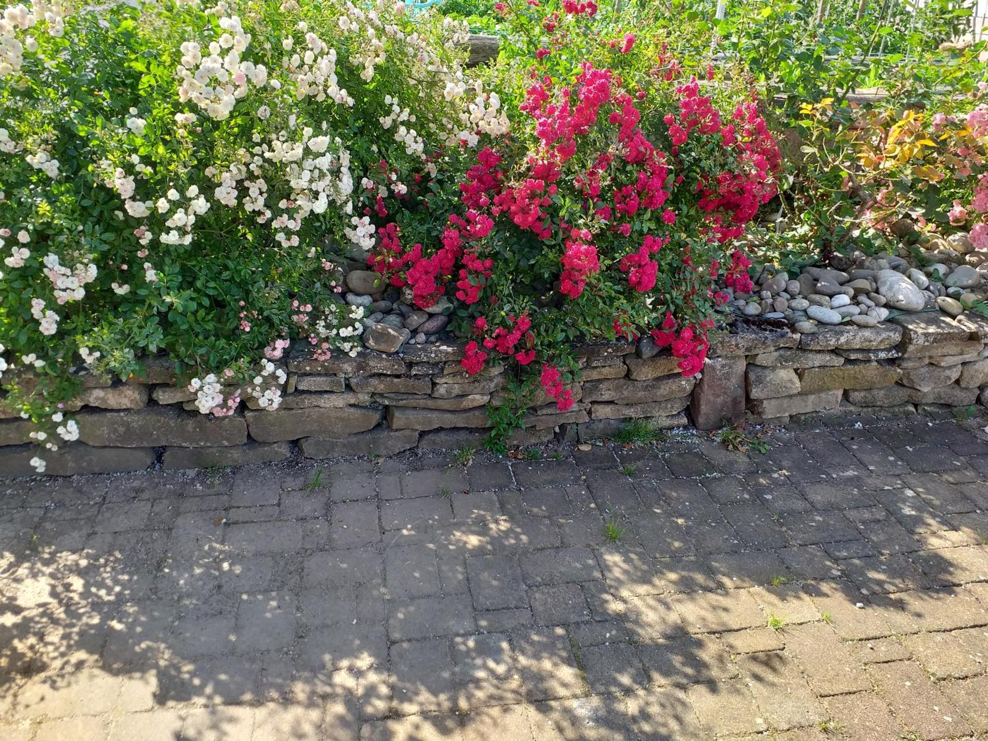 ウェスタルタンChez Le Vigneronアパートメント エクステリア 写真